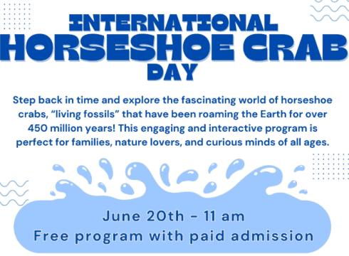 International Horseshoe Crab Day