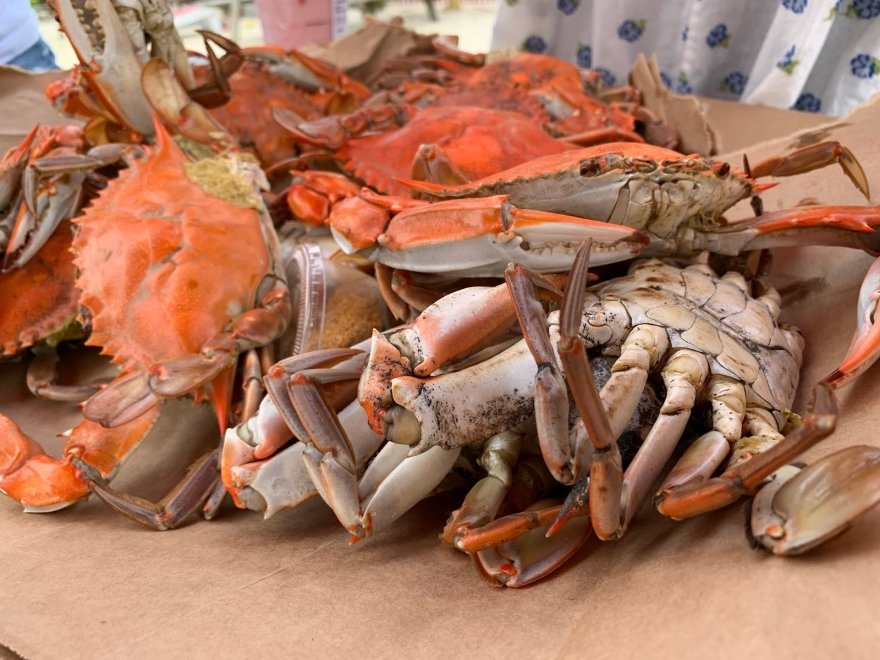 Crabs To Go Crabs To Go