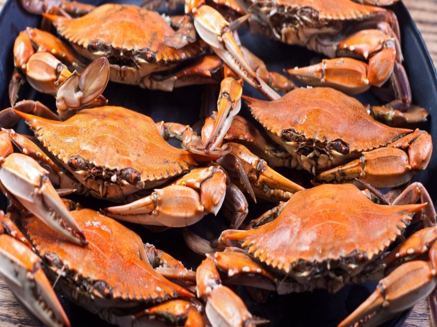 Crabs To Go Crabs To Go