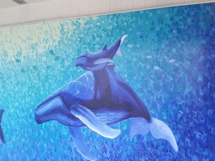 Layton's Family Restaurant Layton's Family Restaurant