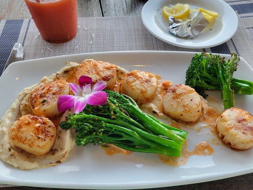 Hilton Garden Inn Ocean City Oceanfront Hilton Garden Inn Ocean City Oceanfront