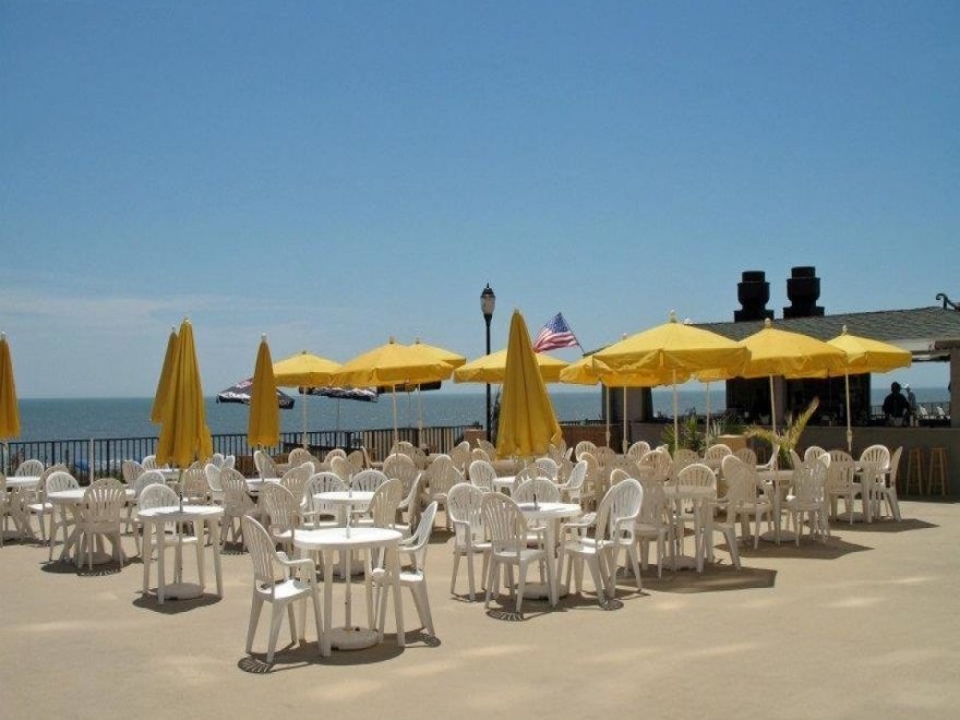 The Jungle Bar & Restaurant