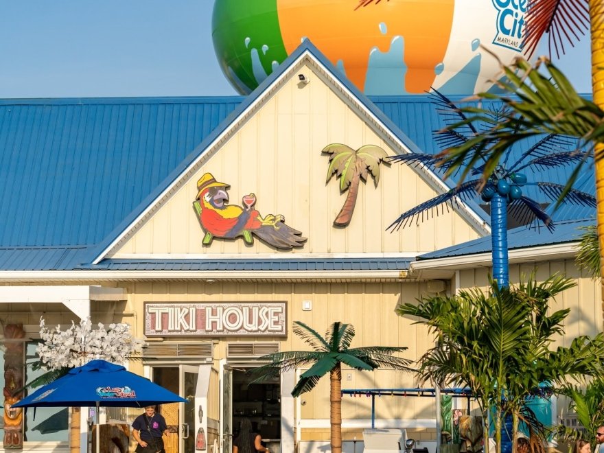 de Lazy Lizard de Lazy Lizard