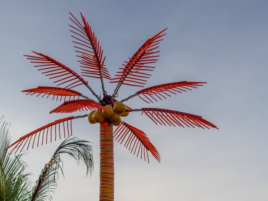 de Lazy Lizard de Lazy Lizard