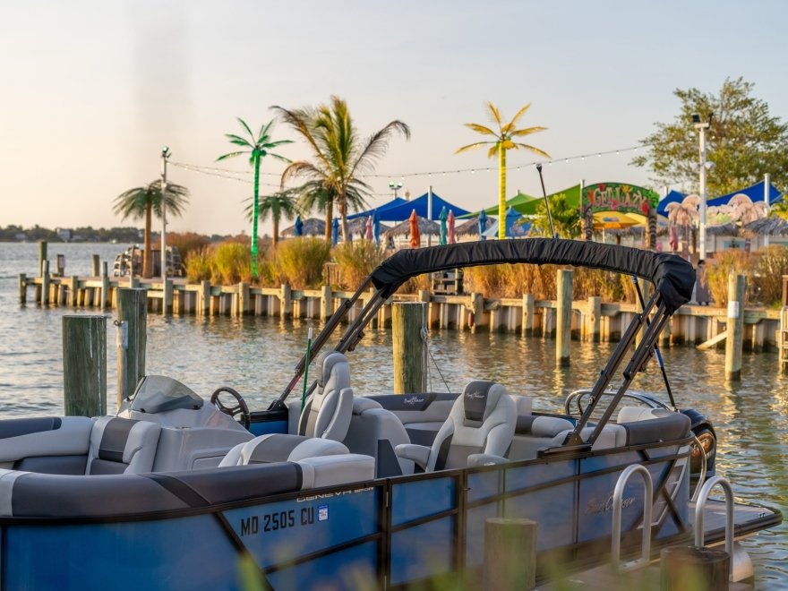 de Lazy Lizard de Lazy Lizard