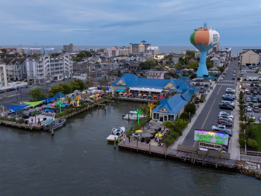 de Lazy Lizard de Lazy Lizard