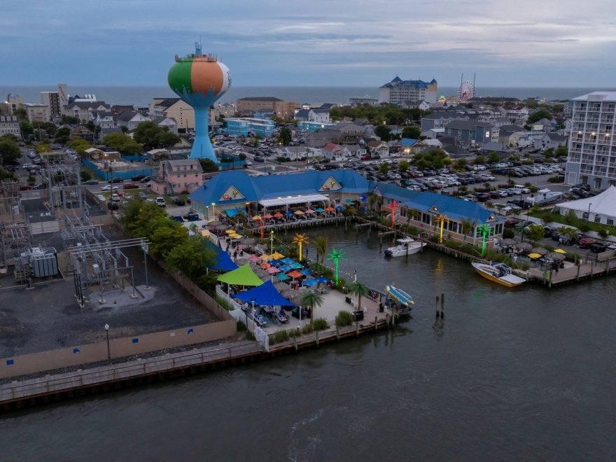 de Lazy Lizard de Lazy Lizard