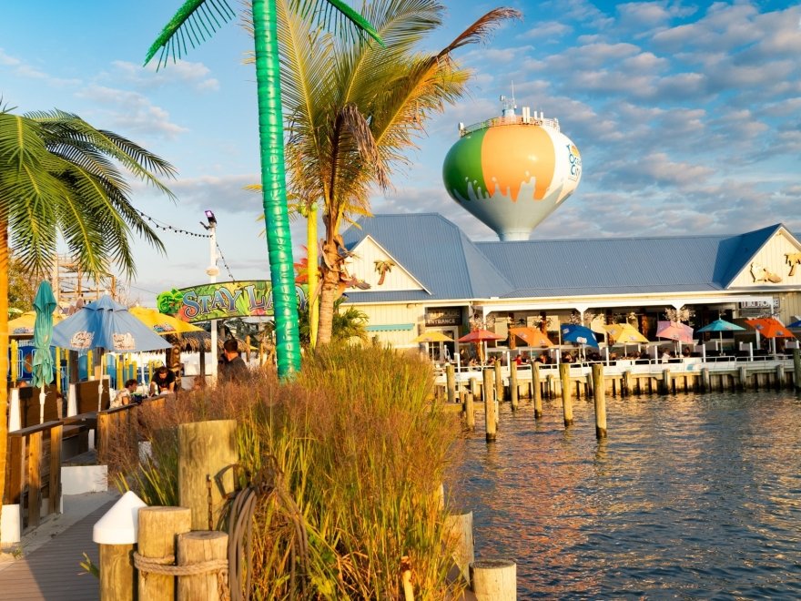 de Lazy Lizard de Lazy Lizard