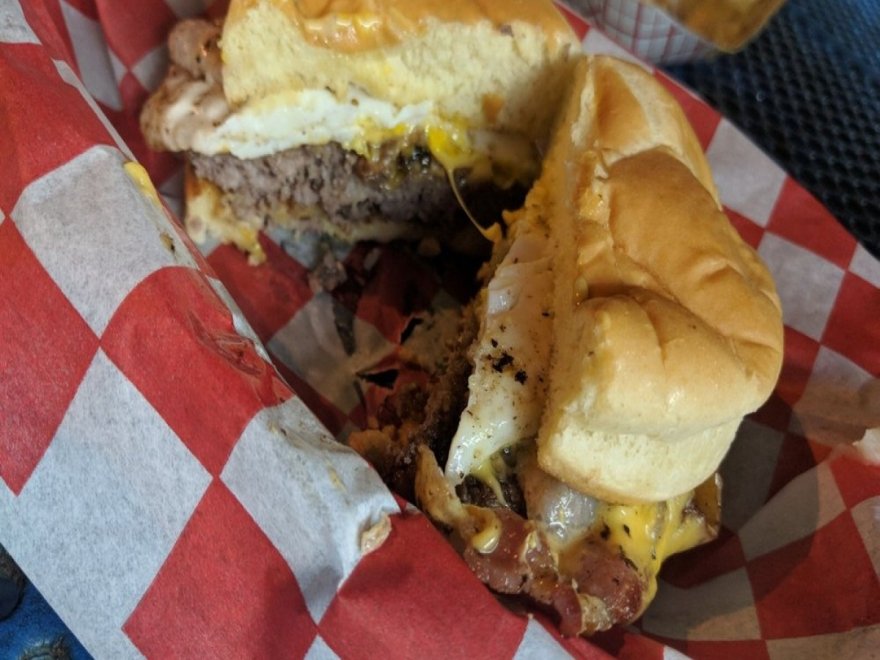 The Hungry Seagull The Hungry Seagull