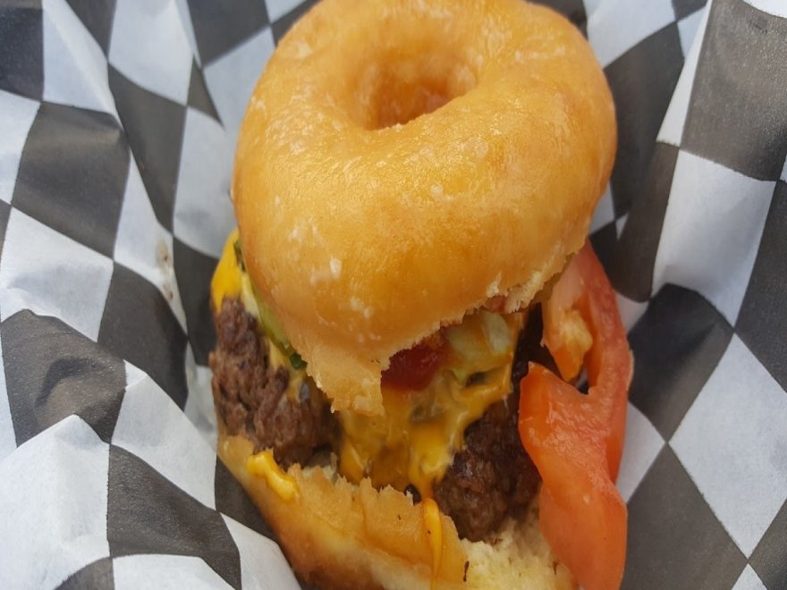 The Hungry Seagull The Hungry Seagull