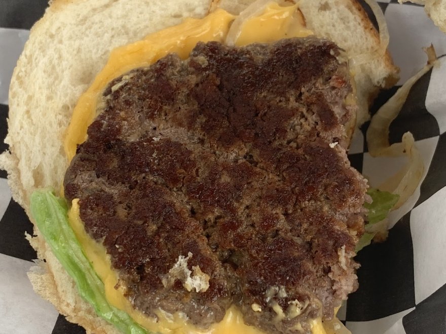 The Hungry Seagull The Hungry Seagull