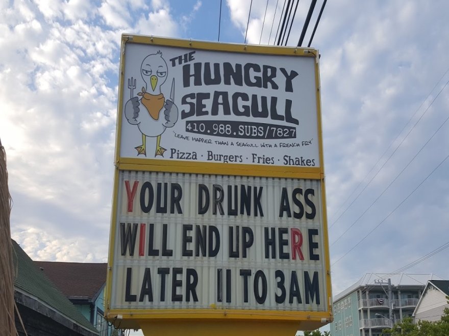The Hungry Seagull The Hungry Seagull