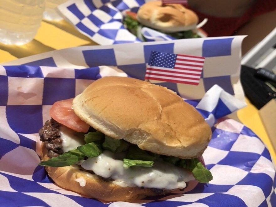 The Hungry Seagull The Hungry Seagull