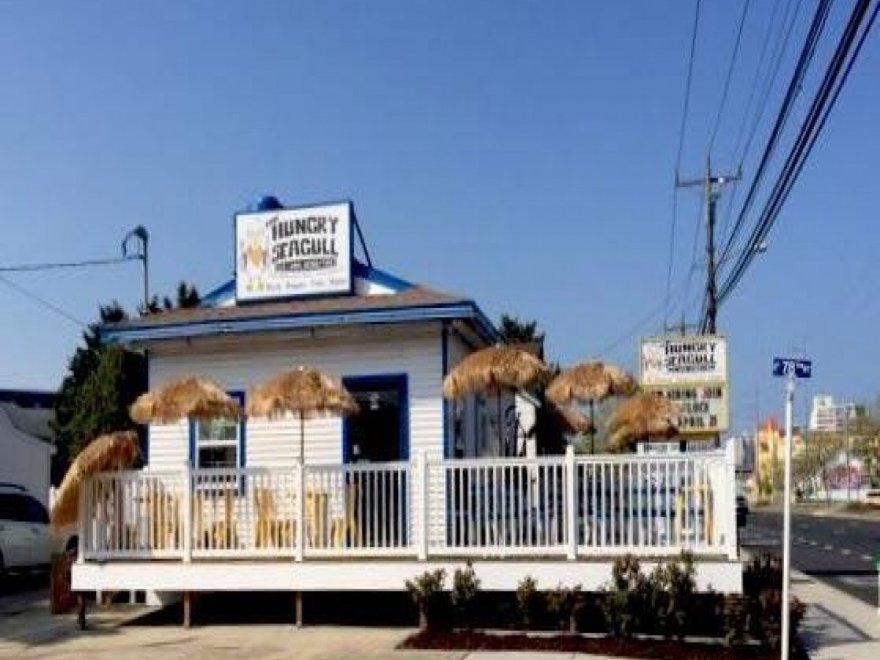 The Hungry Seagull The Hungry Seagull