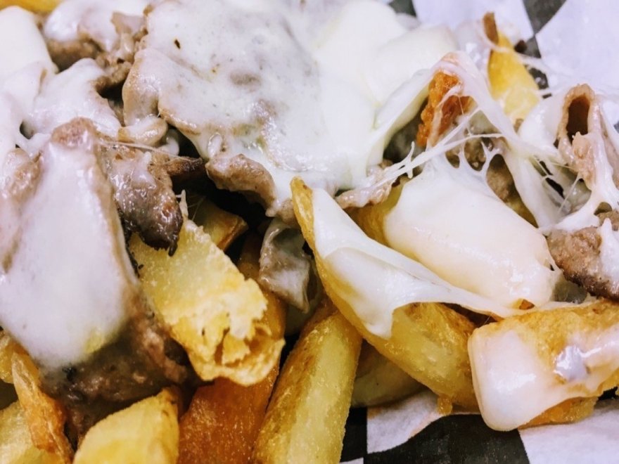 The Hungry Seagull The Hungry Seagull