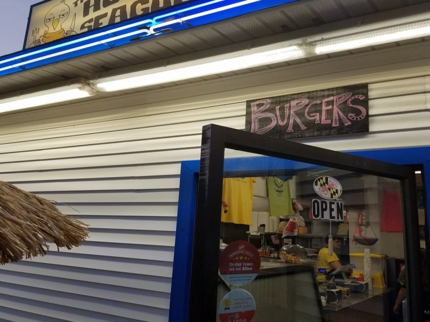 The Hungry Seagull The Hungry Seagull