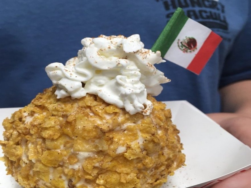 The Hungry Seagull The Hungry Seagull