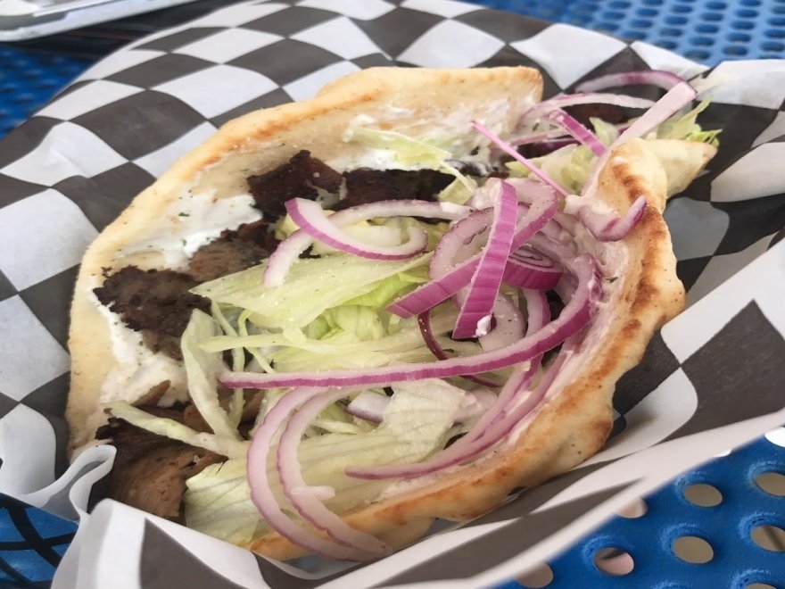 The Hungry Seagull The Hungry Seagull