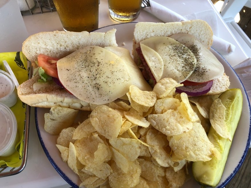 The Hungry Seagull The Hungry Seagull