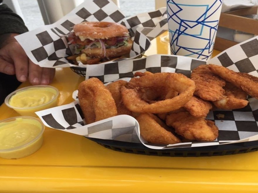 The Hungry Seagull The Hungry Seagull