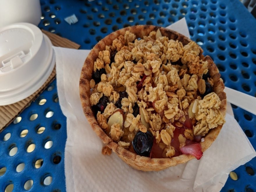 The Hungry Seagull The Hungry Seagull