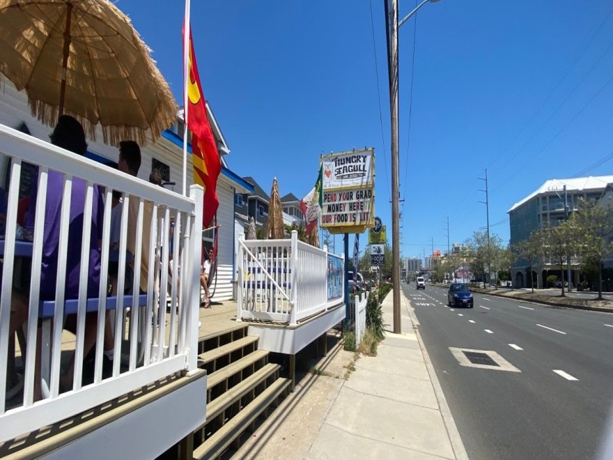 The Hungry Seagull The Hungry Seagull