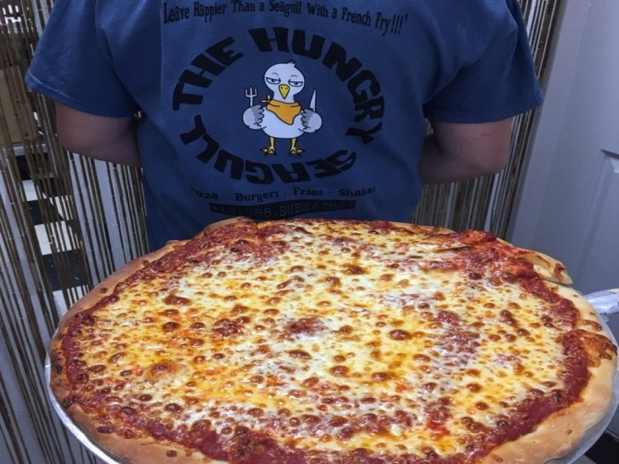 The Hungry Seagull The Hungry Seagull