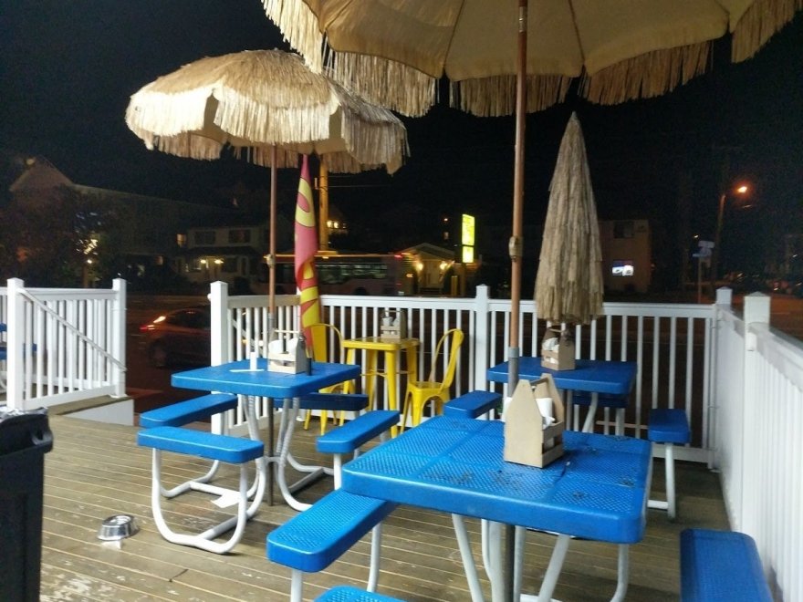 The Hungry Seagull The Hungry Seagull