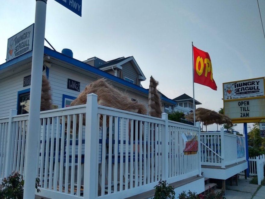 The Hungry Seagull The Hungry Seagull