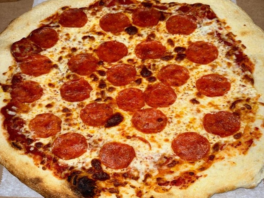 The Hungry Seagull The Hungry Seagull