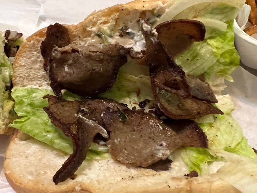 The Hungry Seagull The Hungry Seagull