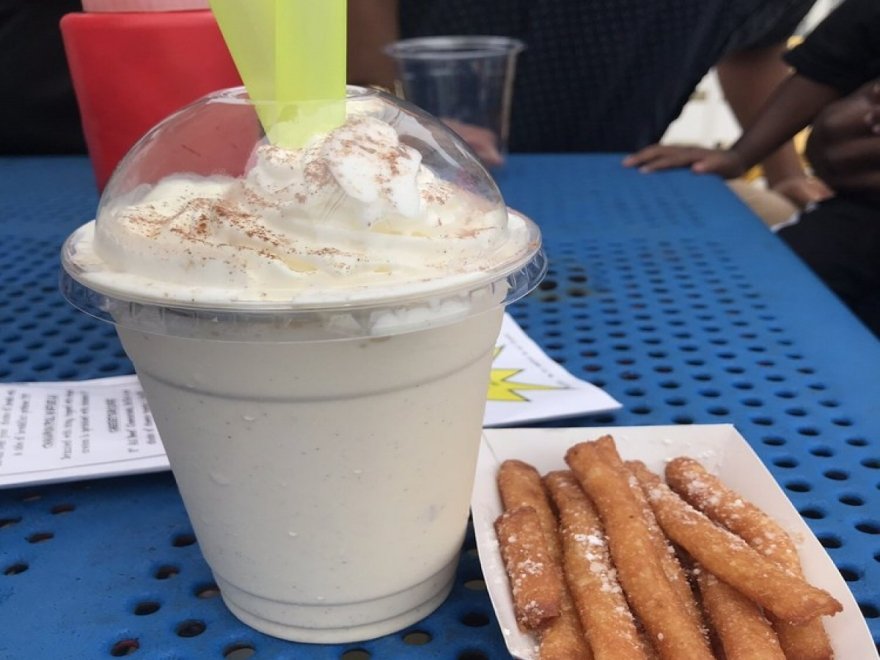 The Hungry Seagull The Hungry Seagull