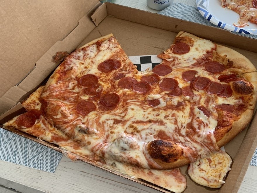 The Hungry Seagull The Hungry Seagull