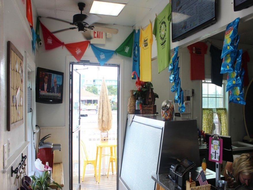 The Hungry Seagull The Hungry Seagull