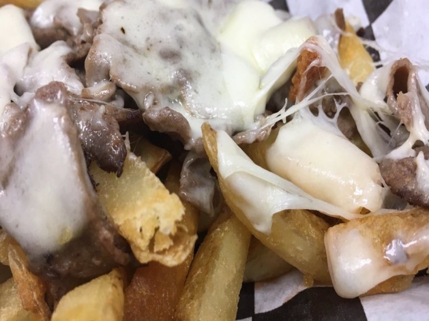 The Hungry Seagull The Hungry Seagull