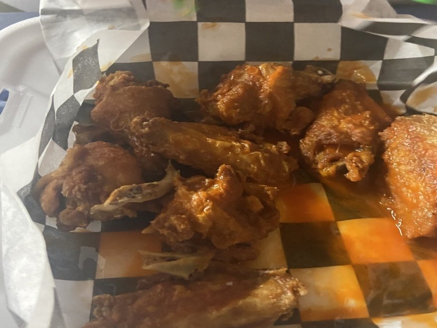 The Hungry Seagull The Hungry Seagull