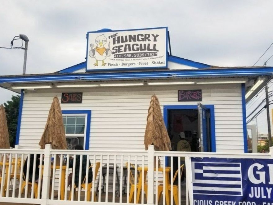 The Hungry Seagull The Hungry Seagull