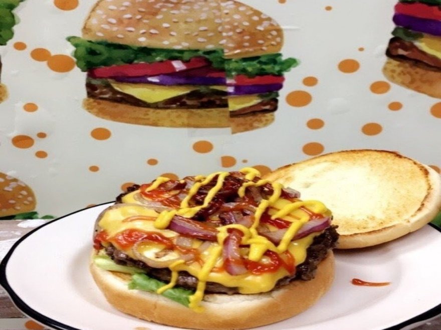 The Hungry Seagull The Hungry Seagull