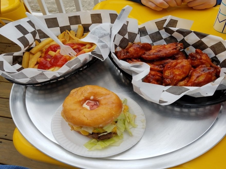 The Hungry Seagull The Hungry Seagull