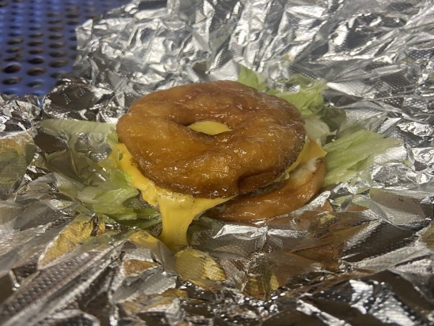 The Hungry Seagull The Hungry Seagull