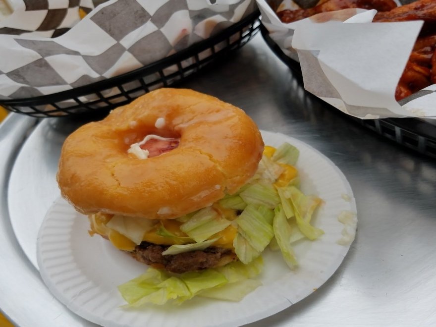 The Hungry Seagull The Hungry Seagull