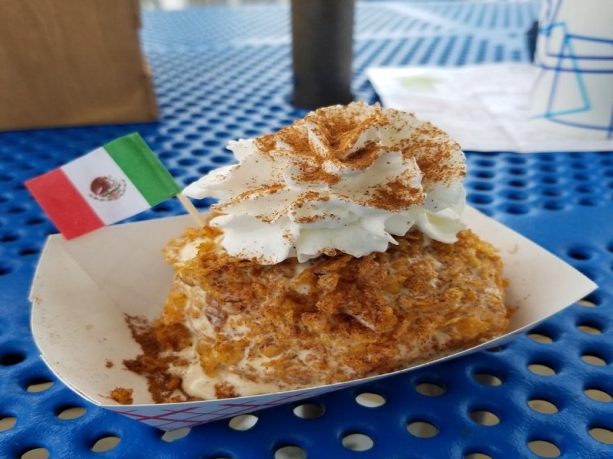 The Hungry Seagull The Hungry Seagull