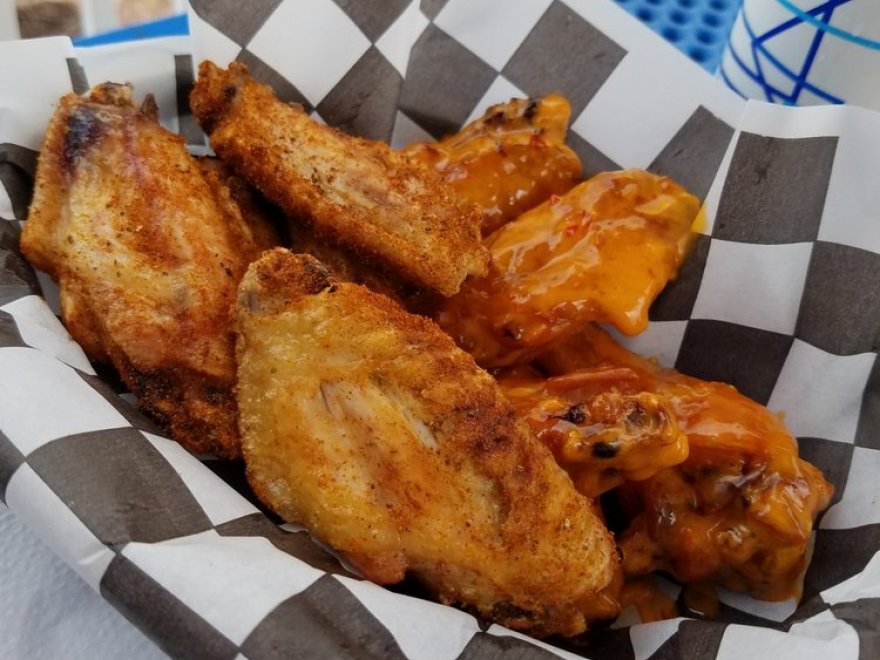 The Hungry Seagull The Hungry Seagull