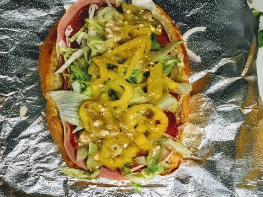 The Hungry Seagull The Hungry Seagull