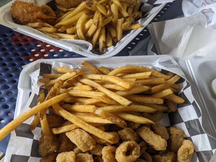 The Hungry Seagull The Hungry Seagull