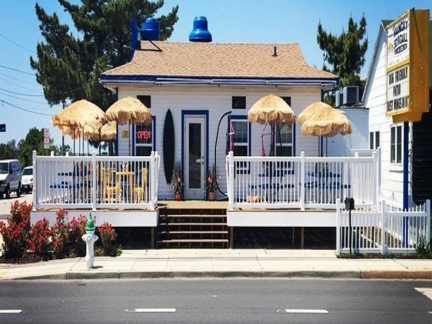 The Hungry Seagull The Hungry Seagull