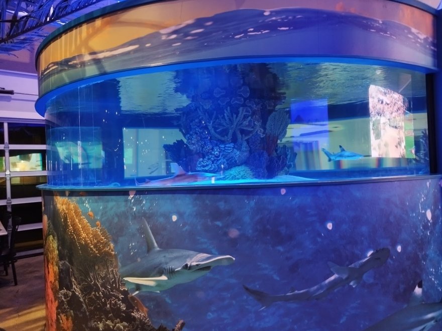 Alley Oops Midtown Alley Oops Midtown