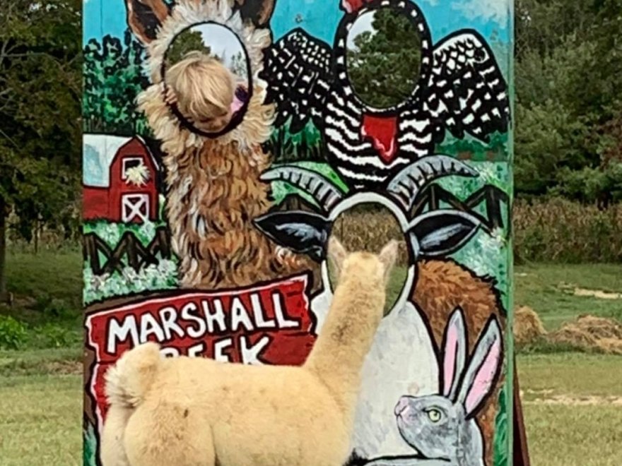 Marshall Creek Farms, LLC