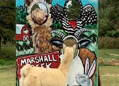 Marshall Creek Farms, LLC