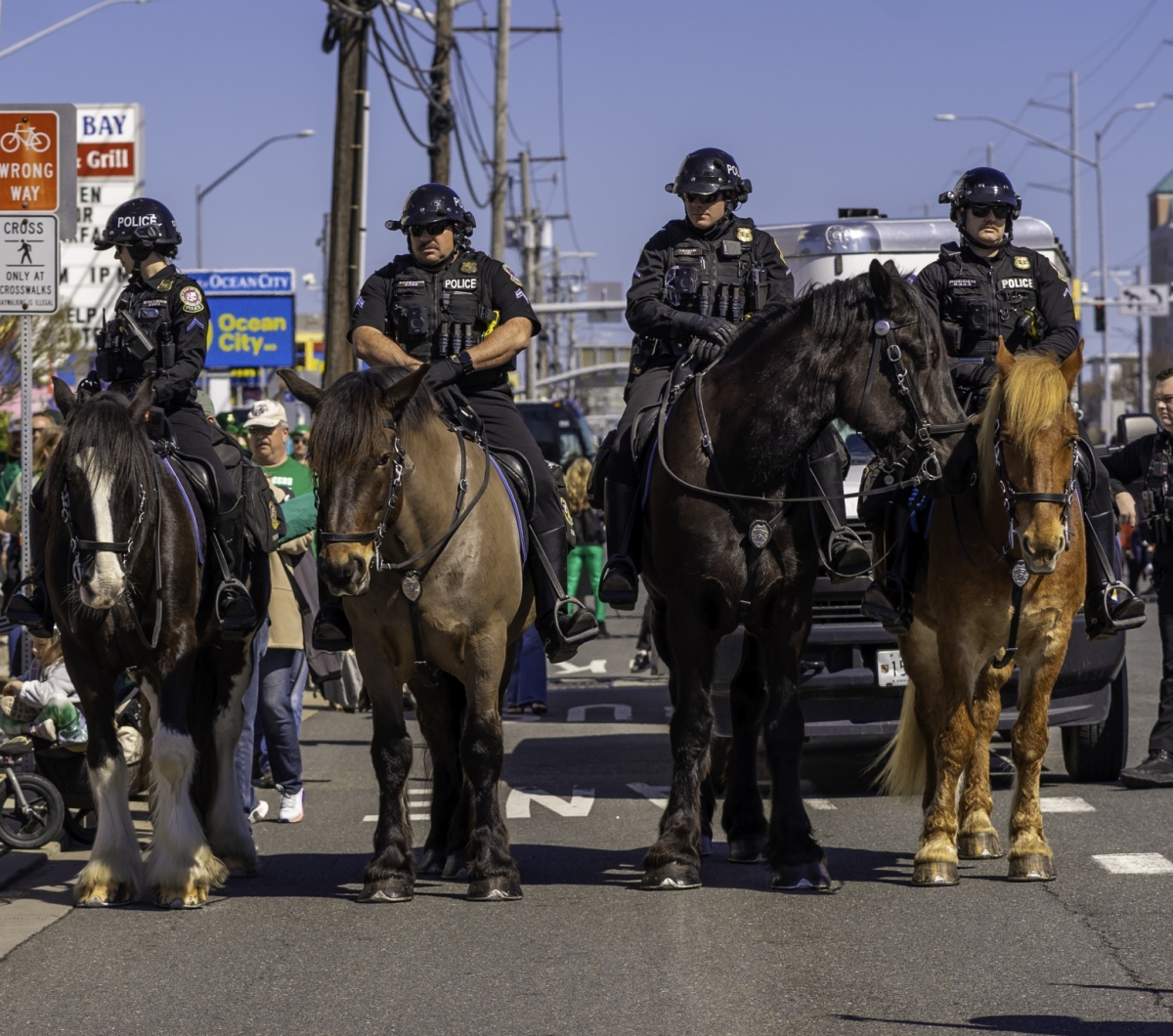 OC police officers on horses